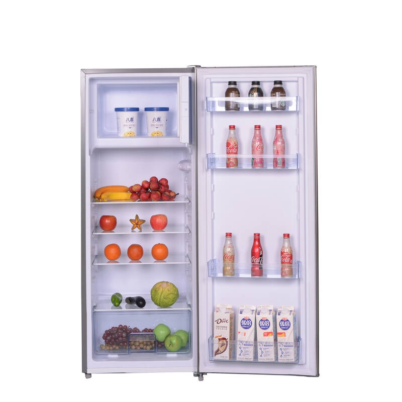 Inox Kast Koelkast R4A218XE 218L - FrigeluX