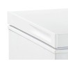 Witte Kistvriezer CCO202BE 202 liter - FrigeluX